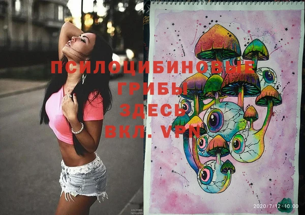 первитин Няндома