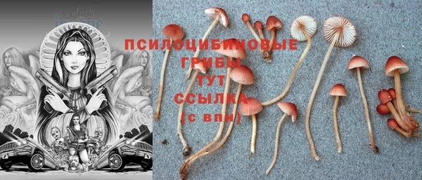 первитин Няндома